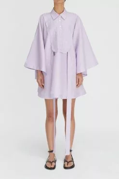 Iris Embroidered Mini Dress